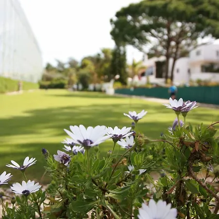 Barringtons Centro Desportivo Vale Do Lobo Lejlighed Almancil